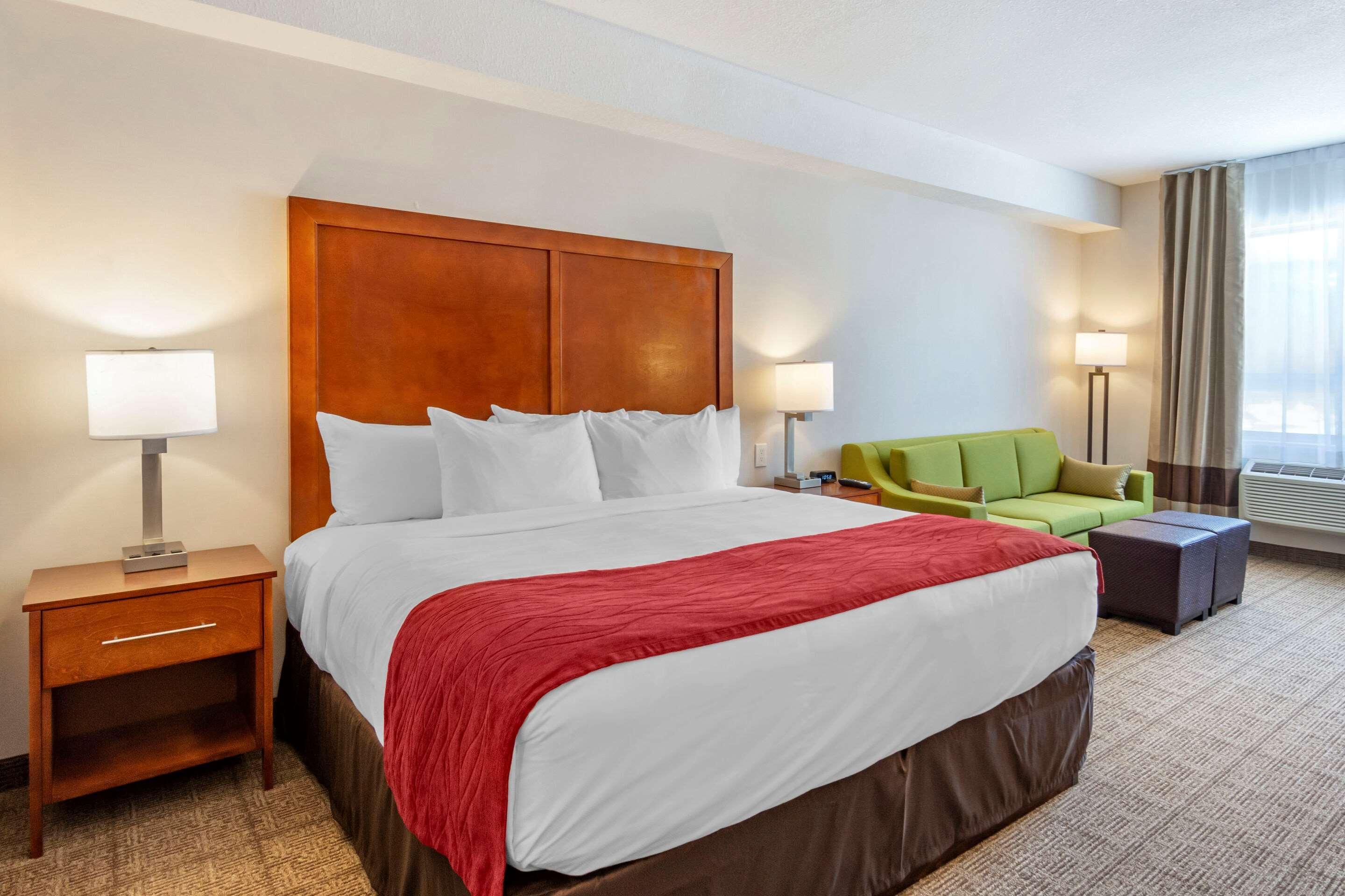 Comfort & Hotel
